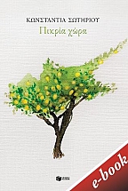 ������ ���� (e-book / epub)